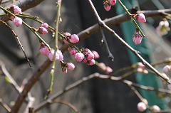 080326_105037_0