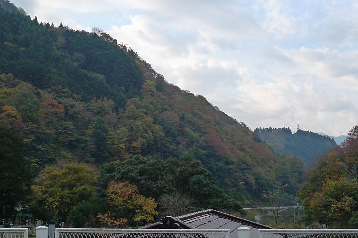 081124_075957_0.jpg