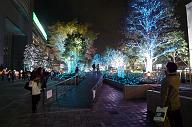 081112_202149_0