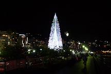 081122_204255_1