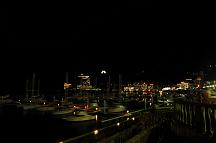 081207_195546_0