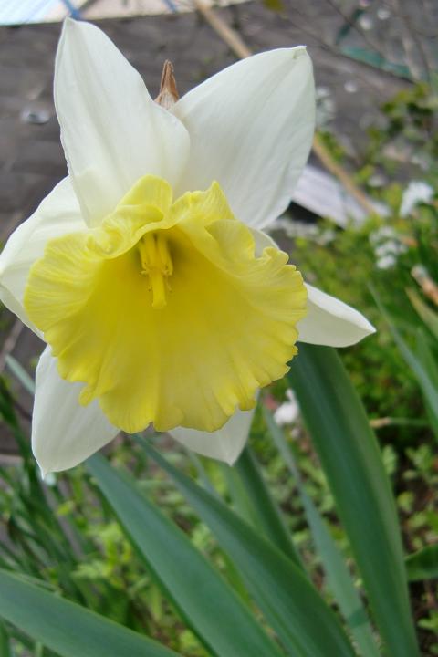090329_152842_0.jpg