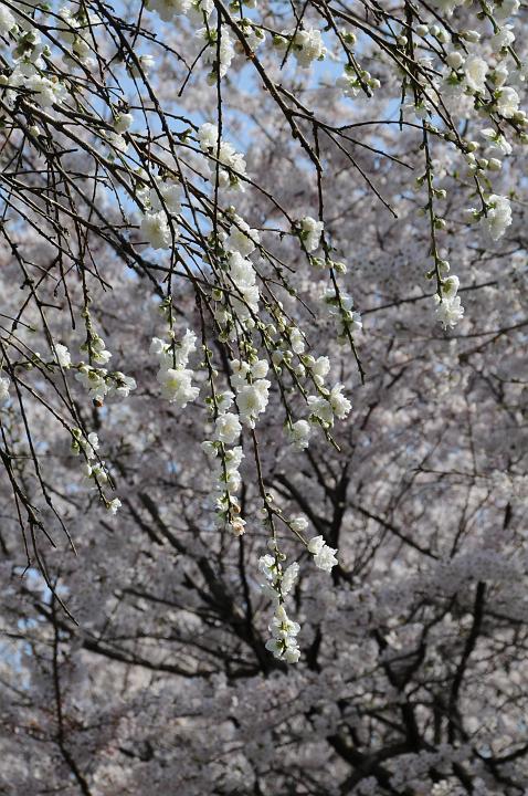 090406_141820_0.jpg