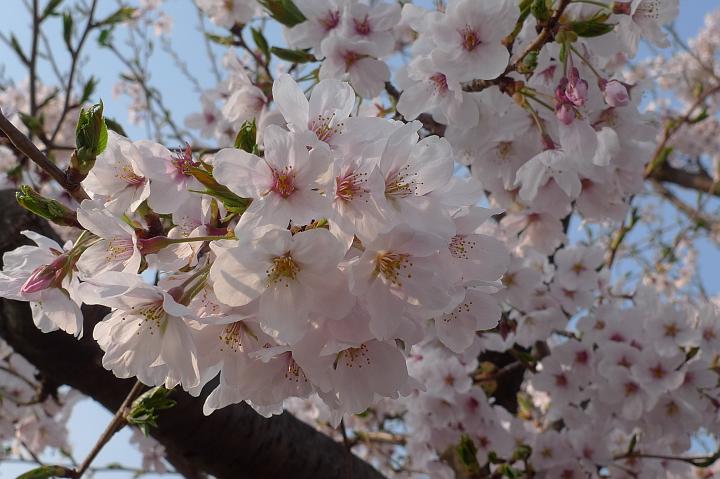 090407_153758_0.jpg