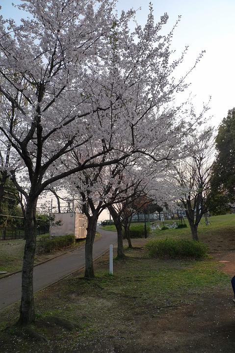 090407_170808_0.jpg