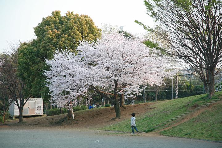 090407_171719_0.jpg