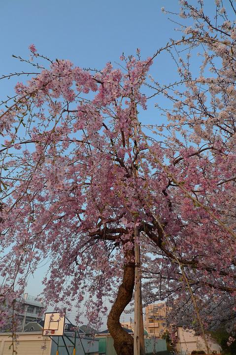 090407_172501_0.jpg