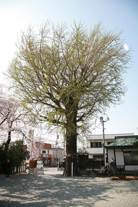 090408_144315_0.jpg