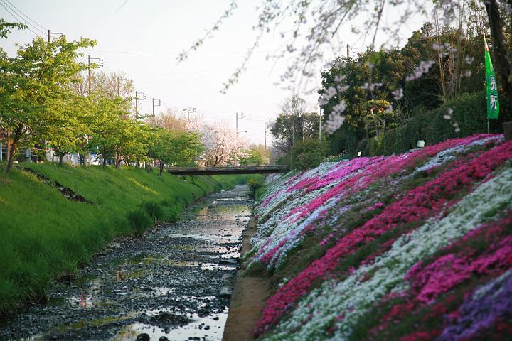 090409_172334_0.jpg