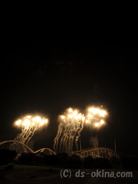 100725_204416_0.jpg