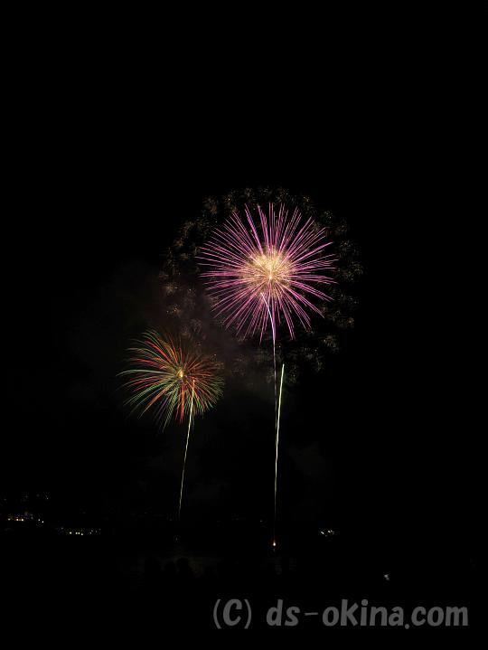 100803_202937_0.jpg