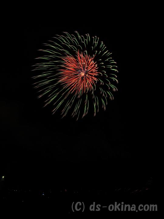 100813_195454_0.jpg