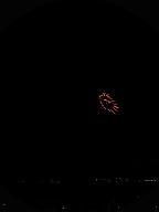 100826_192459_0