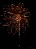 110723_202156_0