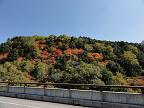 111010_120706_0
