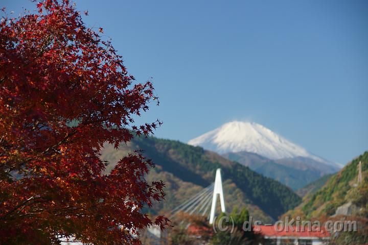 111124_100134_0.jpg