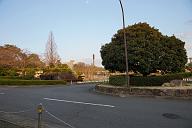 120401_172932_0