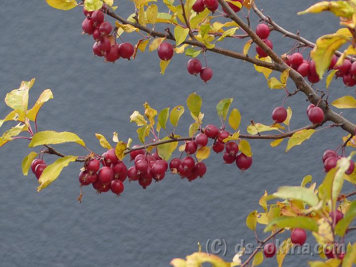 121123_111925_0.jpg