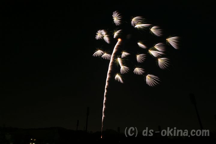 140412_195420_0.jpg