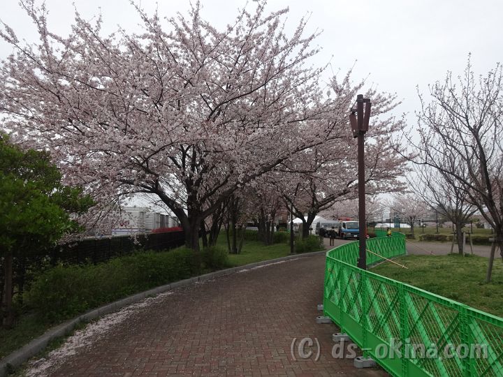 150404_171602_0.jpg