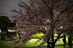 150404_185219_0