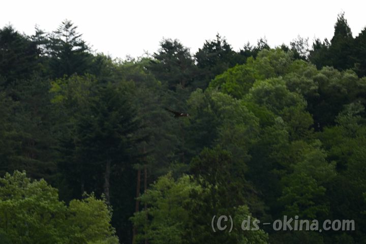 150504_175406_0.jpg
