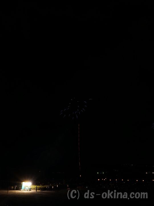 150810_192958_v.jpg