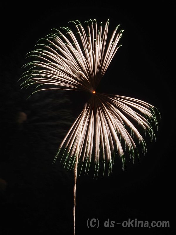 20160917_195735_0.jpg