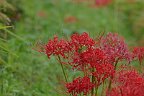 20160925_071017_0