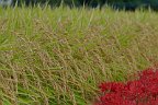 20160925_071549_0