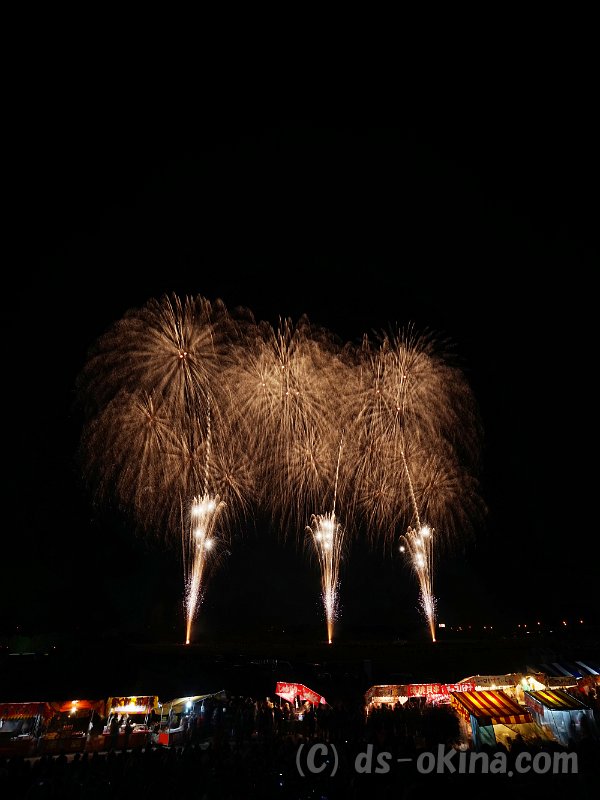 20161123_195306_0.jpg
