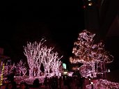 20161217_203102_0