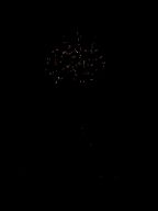 20170226_204705_0