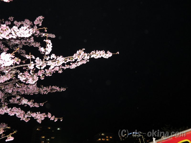20170311_205630_0.jpg