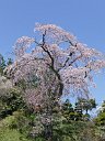 170425_102704_0