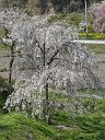 170425_131939_0