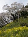 170425_143040_0