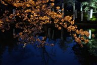 170425_185118_0