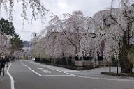 20170428_065612_0