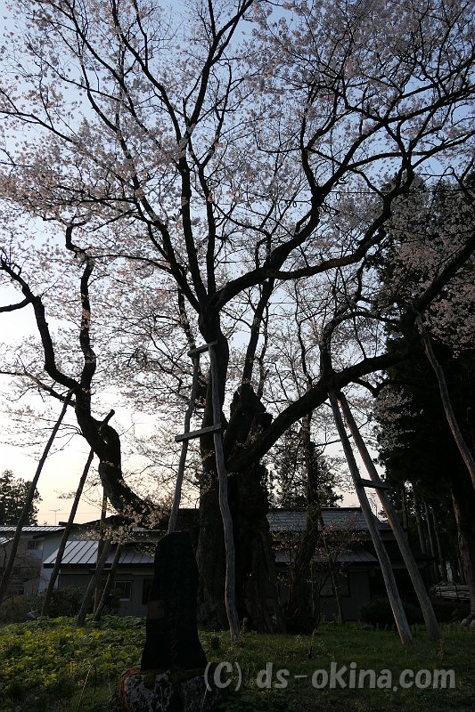 20170430_052140_0.jpg