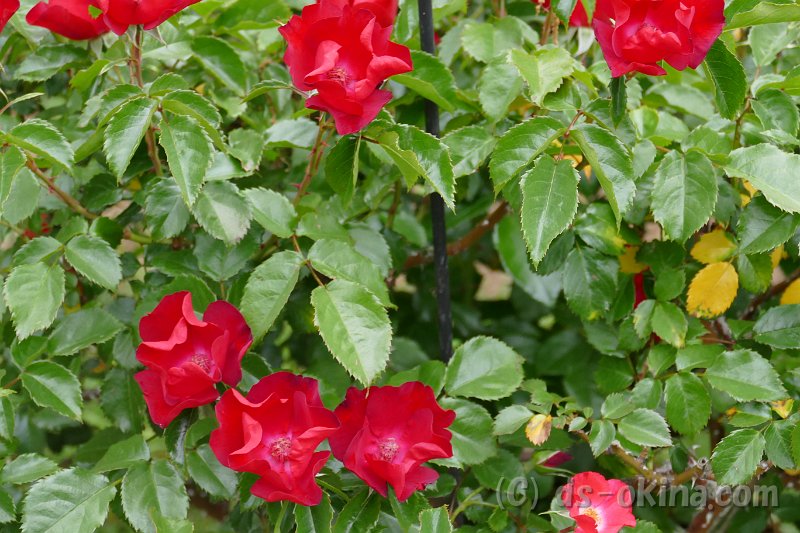 20170516_164948_0.jpg