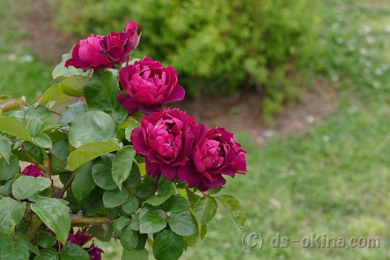 20170516_165406_0.jpg