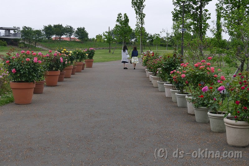 20170516_165506_0.jpg