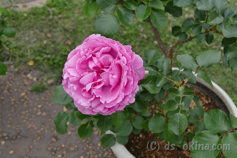 20170516_165516_0.jpg