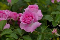 20170516_162444_0