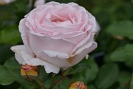 20170516_162839_0