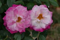 20170516_164857_0