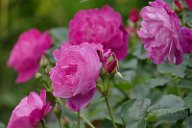 20170516_165118_0