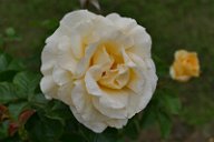 20170516_165432_0