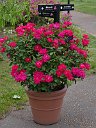 20170516_165451_0